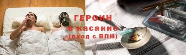 гидра Вязьма