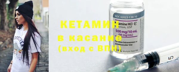 гидра Вязьма