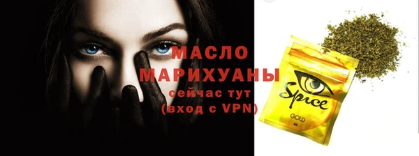 гидра Горнозаводск