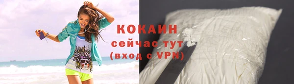 гидра Горнозаводск