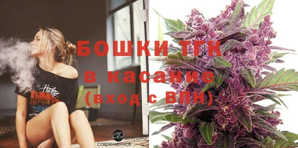 шишки Горно-Алтайск