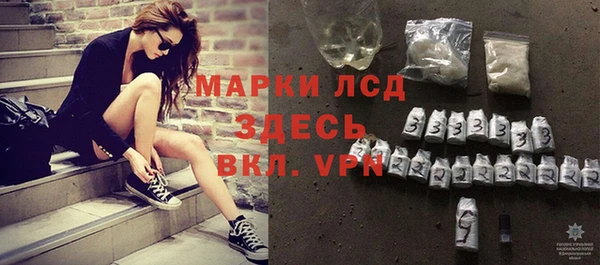 гидра Вязьма