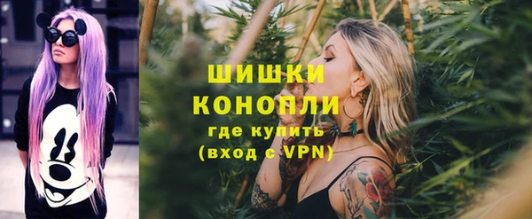 шишки Горно-Алтайск