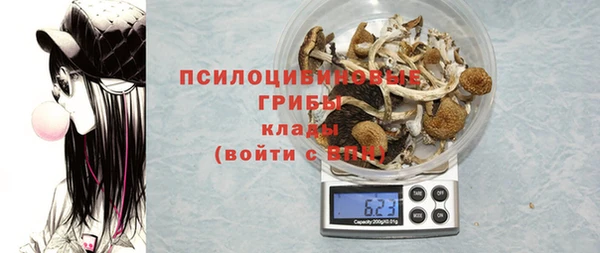 альфа пвп Горняк