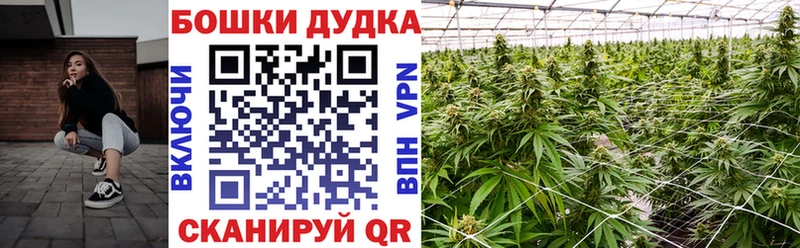 Купить  Тутаев  Бошки марихуана Amnesia 